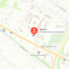 ИК-5 Великие Луки
